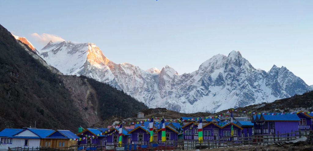 день 12 фото 1