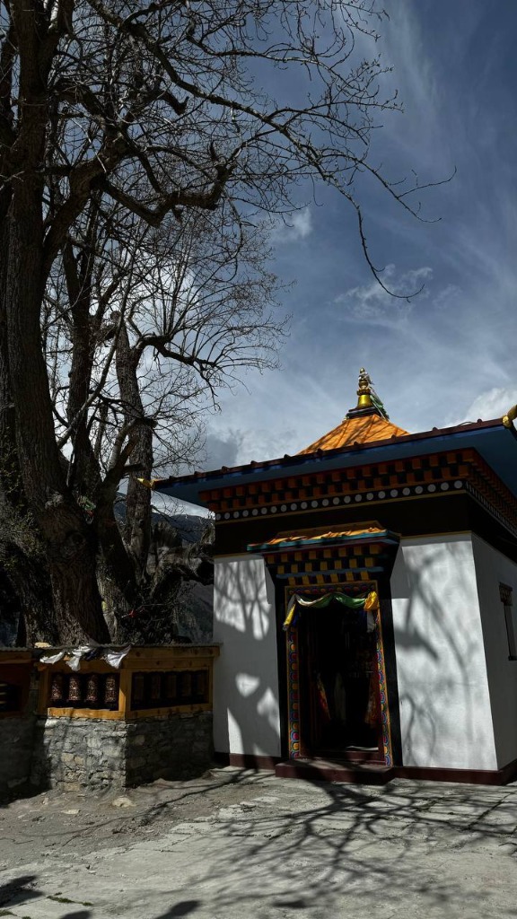 день 4 фото 1