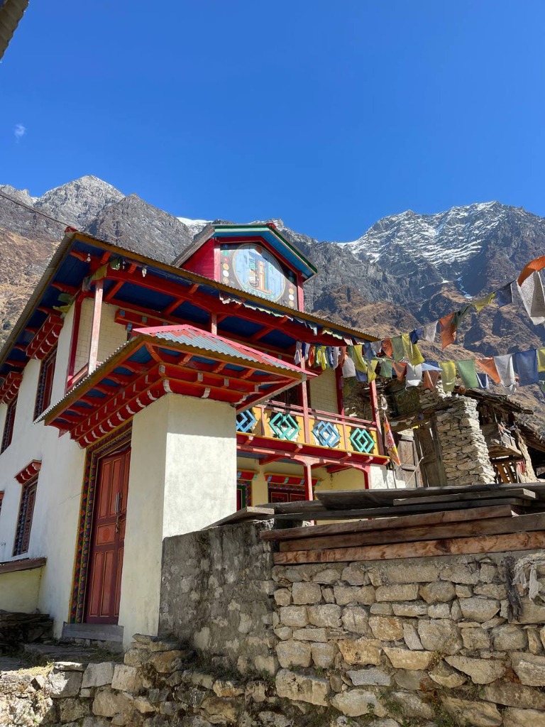 день 6 фото 1