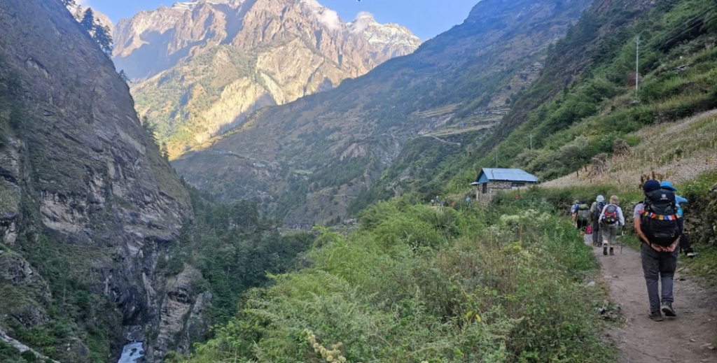 день 8 фото 2