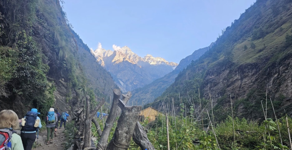 день 8 фото 3